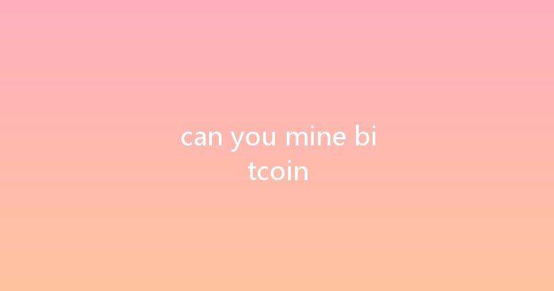 can you mine bitcoin 